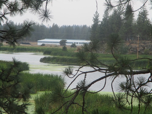 cheney wetlands pond 5